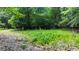 Wooded lot with lush greenery, offering a peaceful setting at 3525 Hamilton Mill Rd, Buford, GA 30519