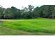 Open grassy field with mature trees at 3525 Hamilton Mill Rd, Buford, GA 30519
