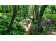 Wooded area with a small stream running through it at 3525 Hamilton Mill Rd, Buford, GA 30519