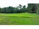 Open grassy field with mature trees at 3525 Hamilton Mill Rd, Buford, GA 30519