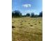 Expansive field with neatly arranged hay bales at 410 Kilcrease Rd, Auburn, GA 30011