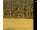 Serene field with grazing deer and lush greenery at 410 Kilcrease Rd, Auburn, GA 30011