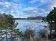 Serene lake view with lush greenery at 205 Lakeside Pl, Canton, GA 30114