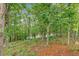 Wooded area with lush trees and a view of the lake at 205 Lakeside Pl, Canton, GA 30114