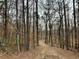 Wooded area with a path at 3355 Smithtown Rd, Suwanee, GA 30024