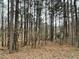 Wooded area with pine trees and leaf covered ground at 3355 Smithtown Rd, Suwanee, GA 30024