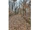 Serene wooded path ideal for nature walks at 3355 Smithtown Rd, Suwanee, GA 30024