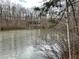 Serene lakefront property with wooded area at 3355 Smithtown Rd, Suwanee, GA 30024