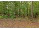 Wooded area with lush green trees and leaf-covered ground at 6425 Mixon Rd, Chattahoochee Hills, GA 30268