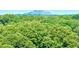 Aerial view of lush forest with mountain in background at 1501 Clairmont Rd # 1917, Decatur, GA 30033