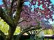 Beautiful flowering trees add curb appeal to this community at 1501 Clairmont Rd # 1917, Decatur, GA 30033
