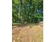 Wooded backyard with a mostly bare ground at 4670 Eberline Ct, Stone Mountain, GA 30083