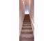Carpeted staircase leading to the upper level at 221 Bridgemill Ln, Hampton, GA 30228
