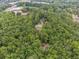 Aerial view of home nestled in a lush, wooded setting at 3992 Doc Sams Rd, Cumming, GA 30028