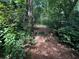 Stone steps lead up through a wooded, overgrown area at 1003 Edie Se Ave, Atlanta, GA 30312