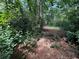 Stone steps lead up through a wooded, overgrown area at 1003 Edie Se Ave, Atlanta, GA 30312