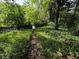 Overgrown path leads through a wooded backyard at 1003 Edie Se Ave, Atlanta, GA 30312