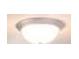 Close-up view of a ceiling light fixture at 2404 Anhinga Dr, Loganville, GA 30052