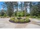 Circular garden with a young tree in the center at 310 Conyers Rd, Mcdonough, GA 30253