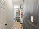 Walk-in pantry with ample shelving for storage at 140 Wisteria Blvd, Covington, GA 30016