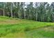 Wooded area behind the property with grassy areas at 2006 Fontainbleau Dr, Conyers, GA 30094