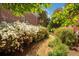 Charming garden path featuring blooming azaleas and brick accents at 161 Blair Valley Ne Dr, Marietta, GA 30060