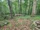 Wooded area with large rocks and leaf-covered ground at 2288 Hudson, Lilburn, GA 30047