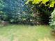 Spacious backyard with lush greenery and tall trees at 2606 Ramblewood Ct, Acworth, GA 30102