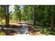 A walking path that meanders through a wooded area at 352 Olmstead Way # 28, Alpharetta, GA 30022