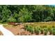 Nature trail with pond and boardwalk, offering scenic views at 352 Olmstead Way # 28, Alpharetta, GA 30022