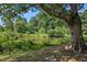 Picturesque pond nestled amongst trees, offering a peaceful view at 131 Bowen Sw Cir, Atlanta, GA 30315