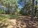 Wooded backyard with a grassy area at 2900 Brandford Trl, Locust Grove, GA 30248