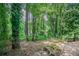 Wooded backyard with a stone path and lush greenery at 416 Macedonia Se Rd, Atlanta, GA 30354