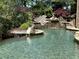 Stunning infinity pool with a waterslide and natural stone at 2867 Darlington Run, Duluth, GA 30097