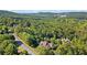 Aerial view of house with lush green surroundings and distant mountain views at 11 York Trce, Cartersville, GA 30121