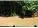 Partially-wooded backyard with a mostly flat, grassy area at 3475 Washington Rd, Atlanta, GA 30344