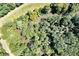 Aerial view showing lush vegetation and a creek at 3112 Highway 155 N, Mcdonough, GA 30252