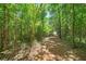 Nature trail meandering through the woods at 3112 Highway 155 N, Mcdonough, GA 30252