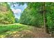 Wooded backyard with a hunting stand at 3112 Highway 155 N, Mcdonough, GA 30252