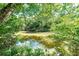 Tranquil creek view, surrounded by trees at 3112 Highway 155 N, Mcdonough, GA 30252