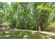 Large backyard with lush greenery and mature trees at 3154 Highway 155 N, Mcdonough, GA 30252