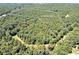 21.04 acres of wooded land bordering Hwy 155 at 3154 Highway 155 N, Mcdonough, GA 30252