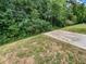 Private backyard with a wooded area and a concrete slab at 368 Madison Grace Ave, Mcdonough, GA 30252