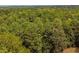 Lush green tree canopy; serene wooded landscape at 1152 Harbins Rd, Dacula, GA 30019