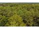 Vast expanse of lush forest and woodland at 1152 Harbins Rd, Dacula, GA 30019