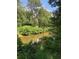 Peaceful pond surrounded by lush greenery and trees at 100 Point Rd, Whitesburg, GA 30185