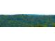 Stunning view of a dense forest with varied tree heights and colors at 1625 Brushy Mountain Rd, Rockmart, GA 30153