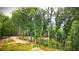 Wooded backyard with distant mountain views at 1625 Brushy Mountain Rd, Rockmart, GA 30153