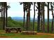 Picnic table and fire pit with scenic mountain views at 1625 Brushy Mountain Rd, Rockmart, GA 30153