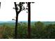 Serene landscape featuring lush greenery and distant mountain views at 1625 Brushy Mountain Rd, Rockmart, GA 30153